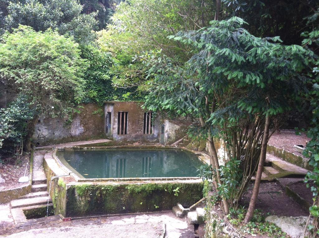 Quinta Do Castanheiro Hotel Sintra Exterior photo