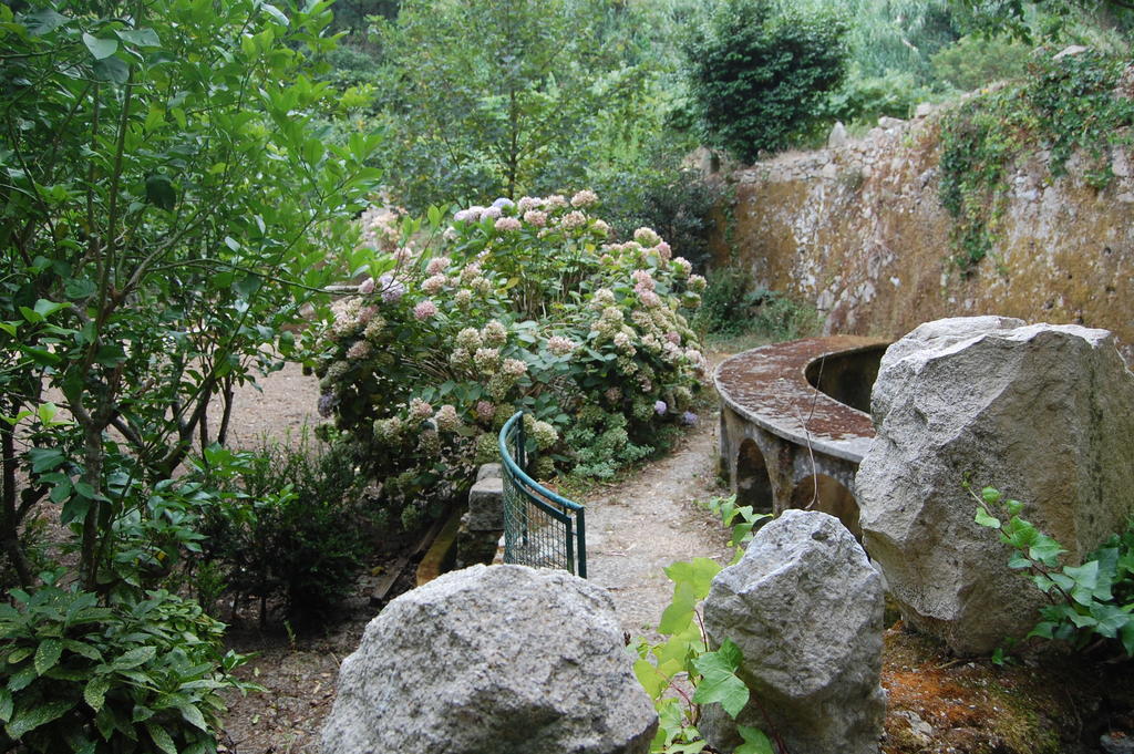 Quinta Do Castanheiro Hotel Sintra Exterior photo